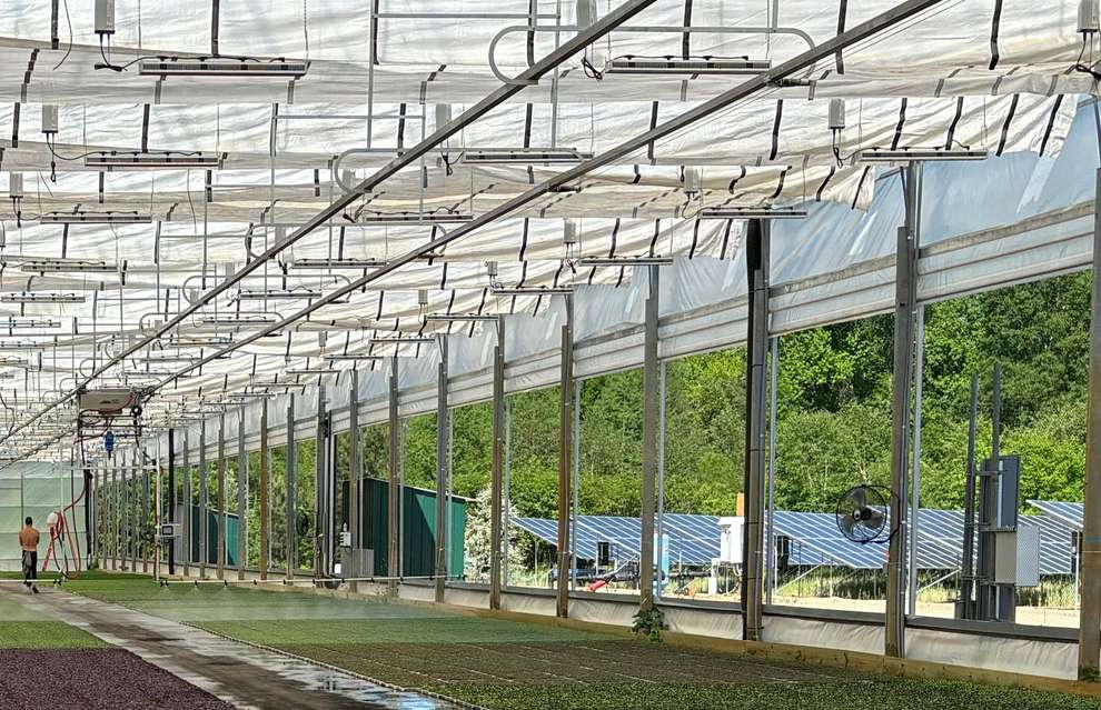 Interior of the City Roots greenhouse showing the high-efficiency lighting array