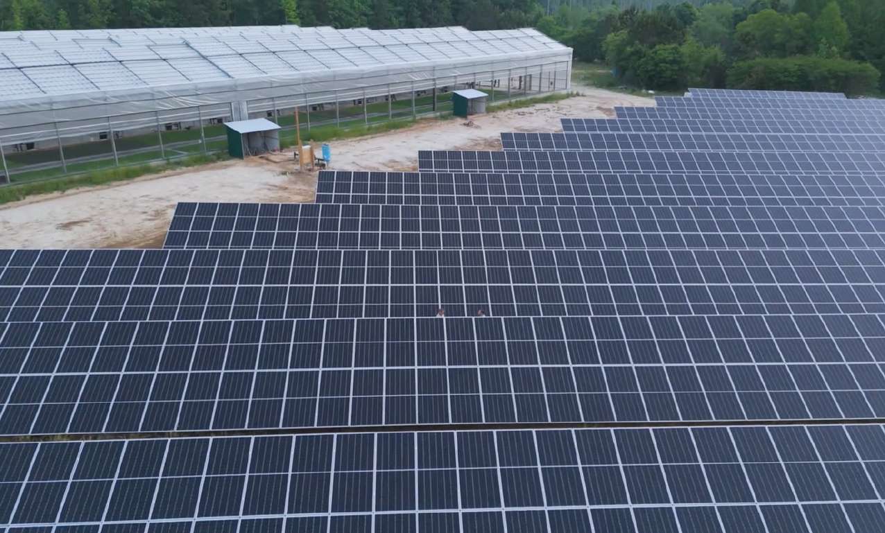 Aerial view of the ground-mount solar array beside the City Roots greenhouse