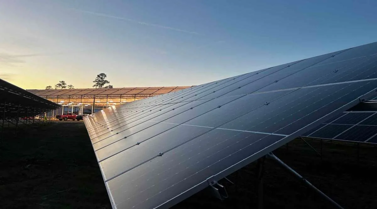The City Roots solar array at dusk with the greenhouse lit in the background